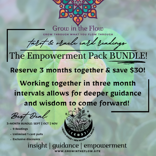 3 Month Bundle $88/month SAVE $33!